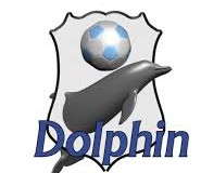 Controversial Penalty Saves Dolphins From Defeat 