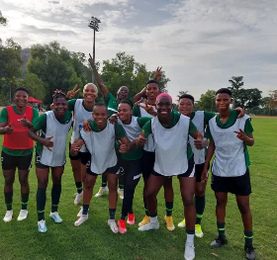 Roster adjustment : Two-time World Cupper and Swedish-based striker called up to Super Falcons