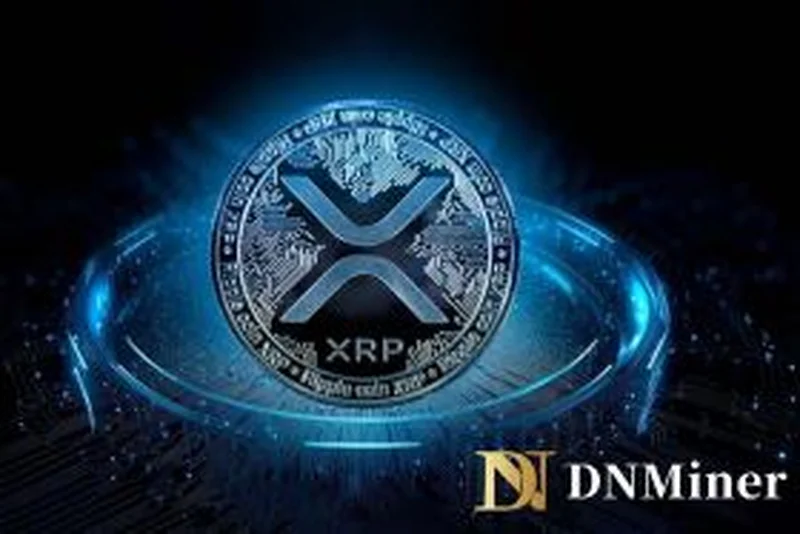 DNMiner: XRP attracts attention of senior investors, becomes first choice of high-return assets