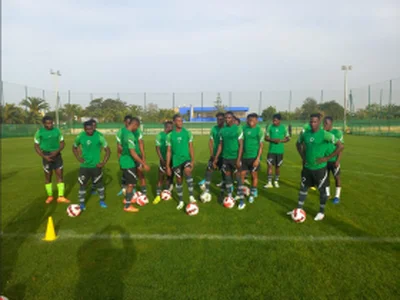  'I hope his team will deliver' - Ex-West BromÂ LB backs Flying Eagles to pick World Cup ticket