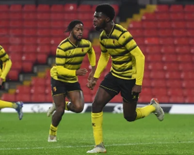 Official : Watford loan out teenage striker of Nigerian descentÂ 