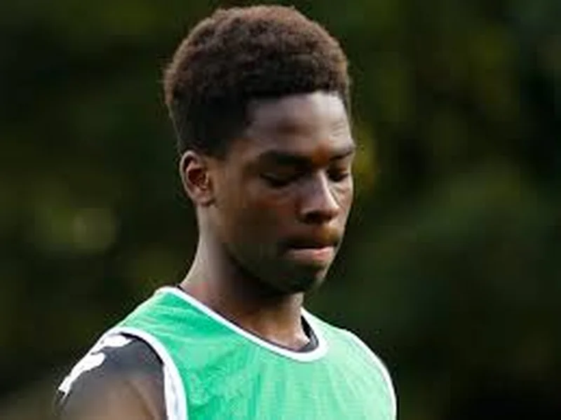 Nigeria Federation To Run The Rule Over New Liverpool Signing Emeka Obi