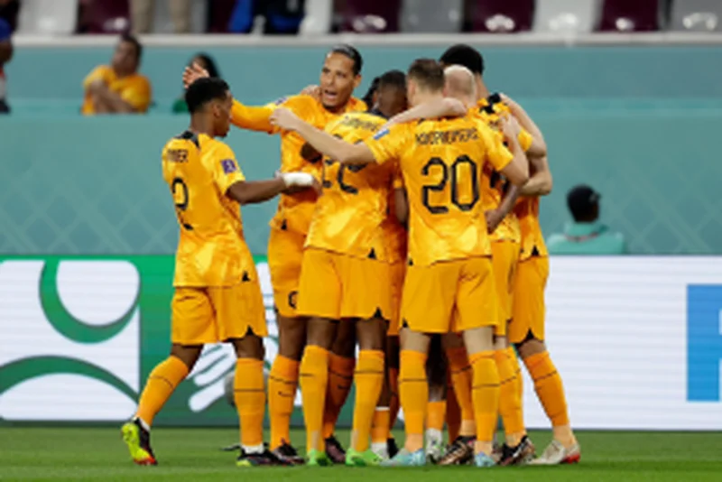 Former Nigeria international blames Virgil van Dijk, De Jong for Ecuador's goal v NetherlandsÂ 