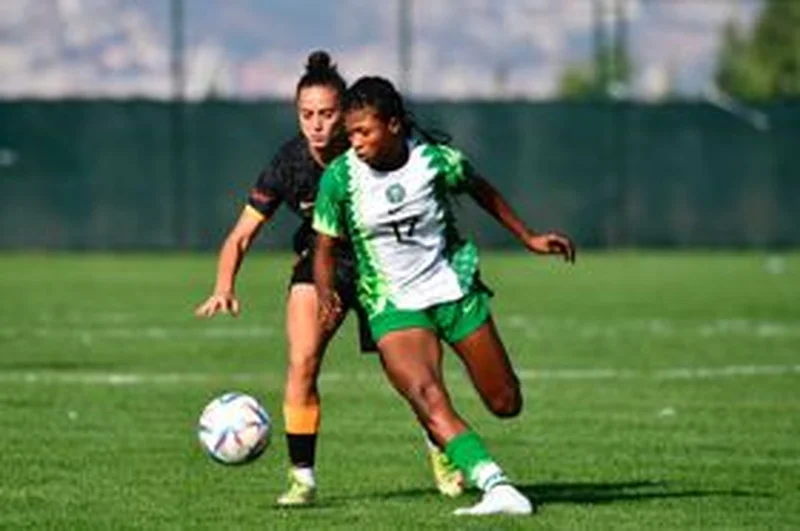 Former Super Eagles defender backs Flamingos to have a memorable World CupÂ 