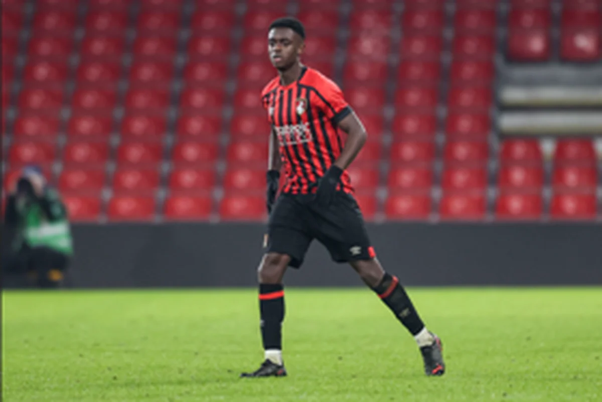 Official : Bournemouth loan out former Tottenham schoolboy of Nigerian descent