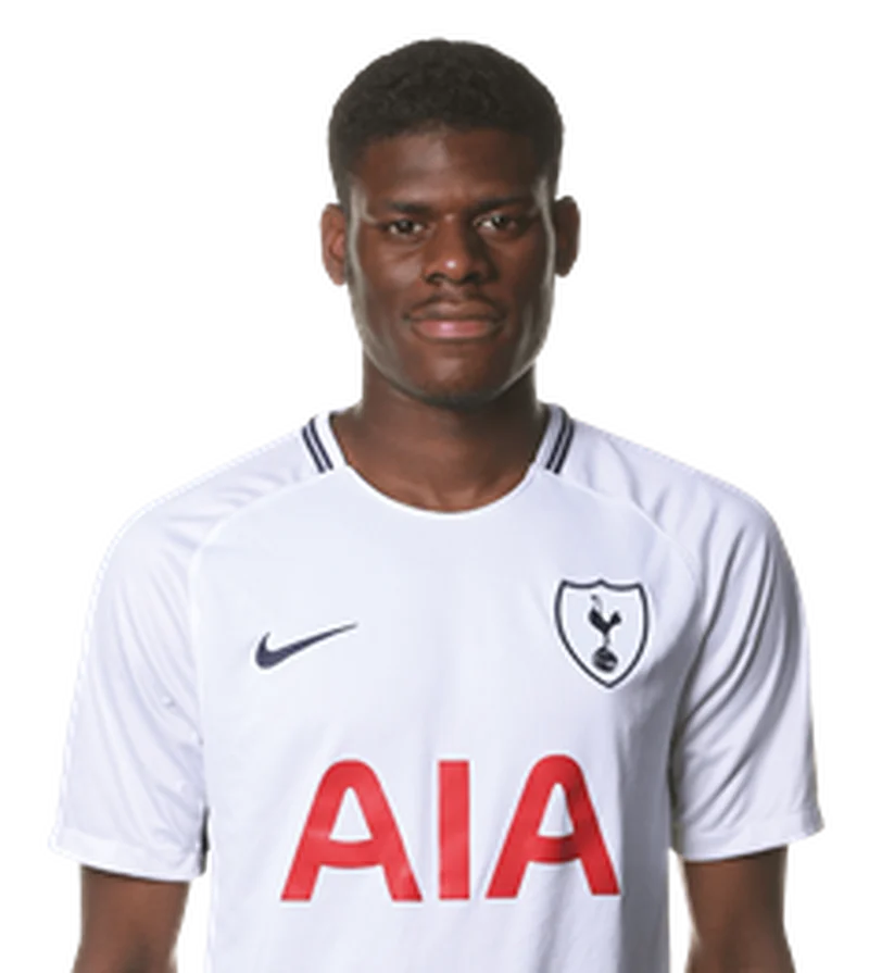 Tottenham Hotspur Star Offers Massive Praise For Young Nigerian Duo