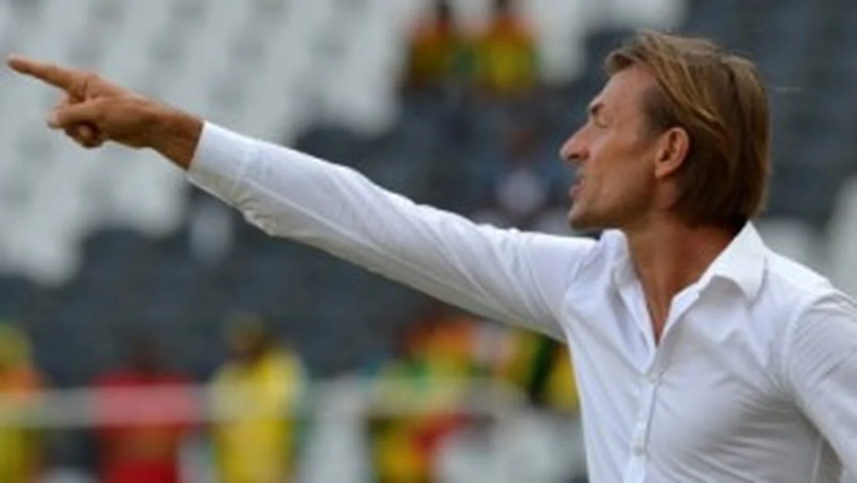 Finidi's replacement: Musa confirms NFF are not in talks with flamboyant French coachÂ Herve Renard