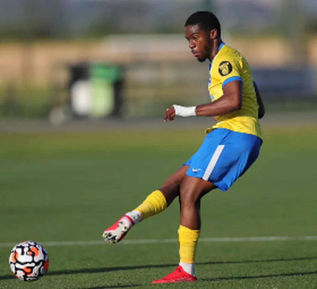 Sheffield Wednesday hand trial to Anglo-Nigerian defenderÂ 