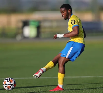 Sheffield Wednesday hand trial to Anglo-Nigerian defenderÂ 