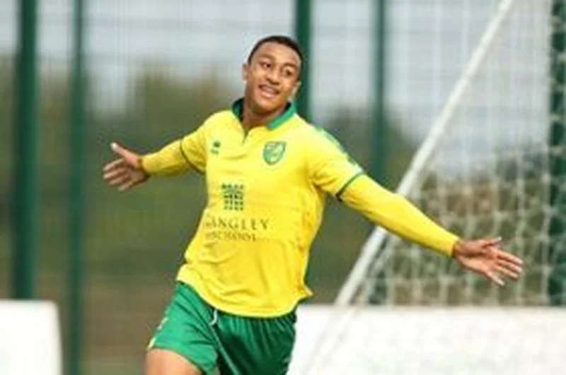 Prolific Norwich City Striker Travels To Poland Next Week For International Duty