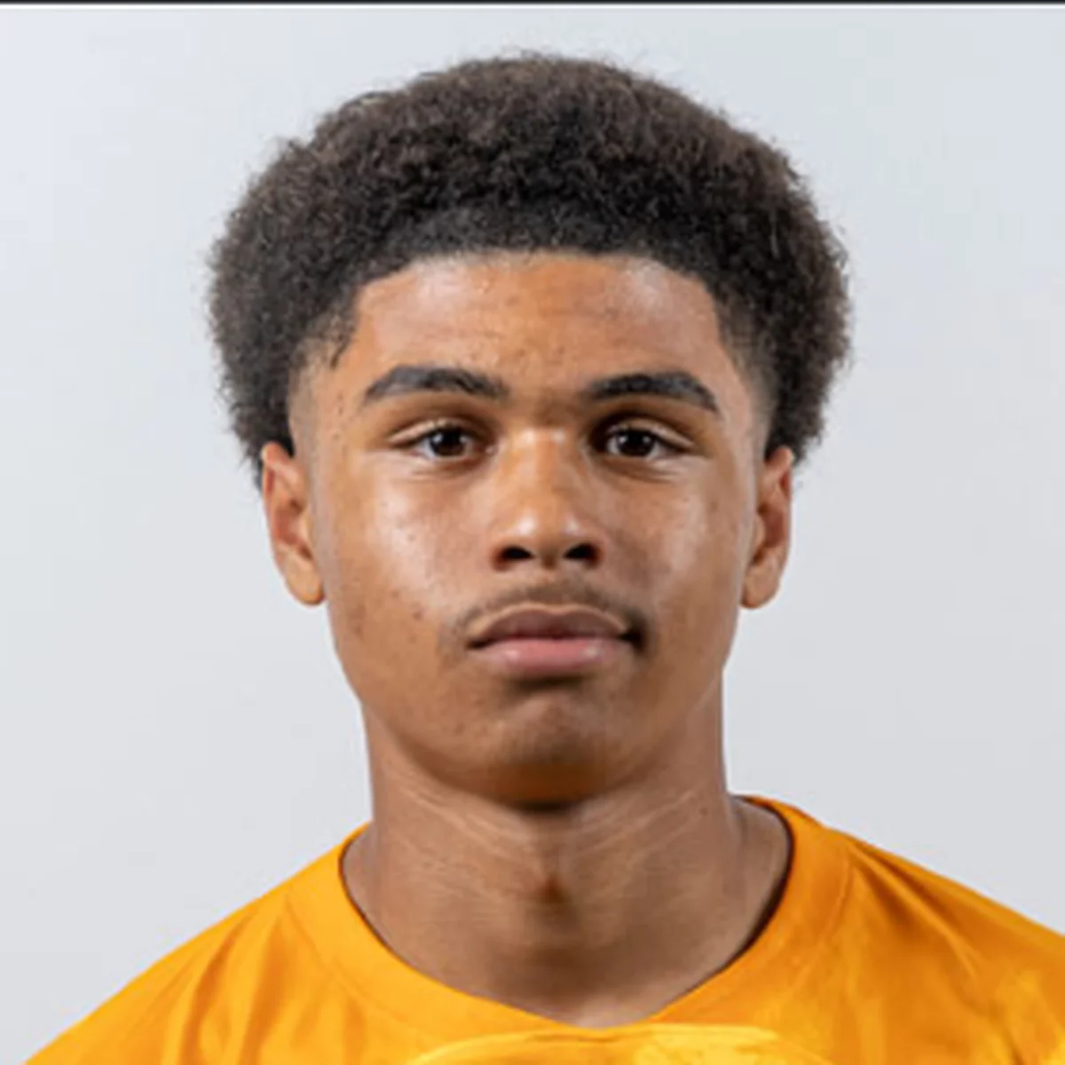 Netherlands steal march on Nigeria, Germany, Bosnia in race for talented Ajax defenderÂ 