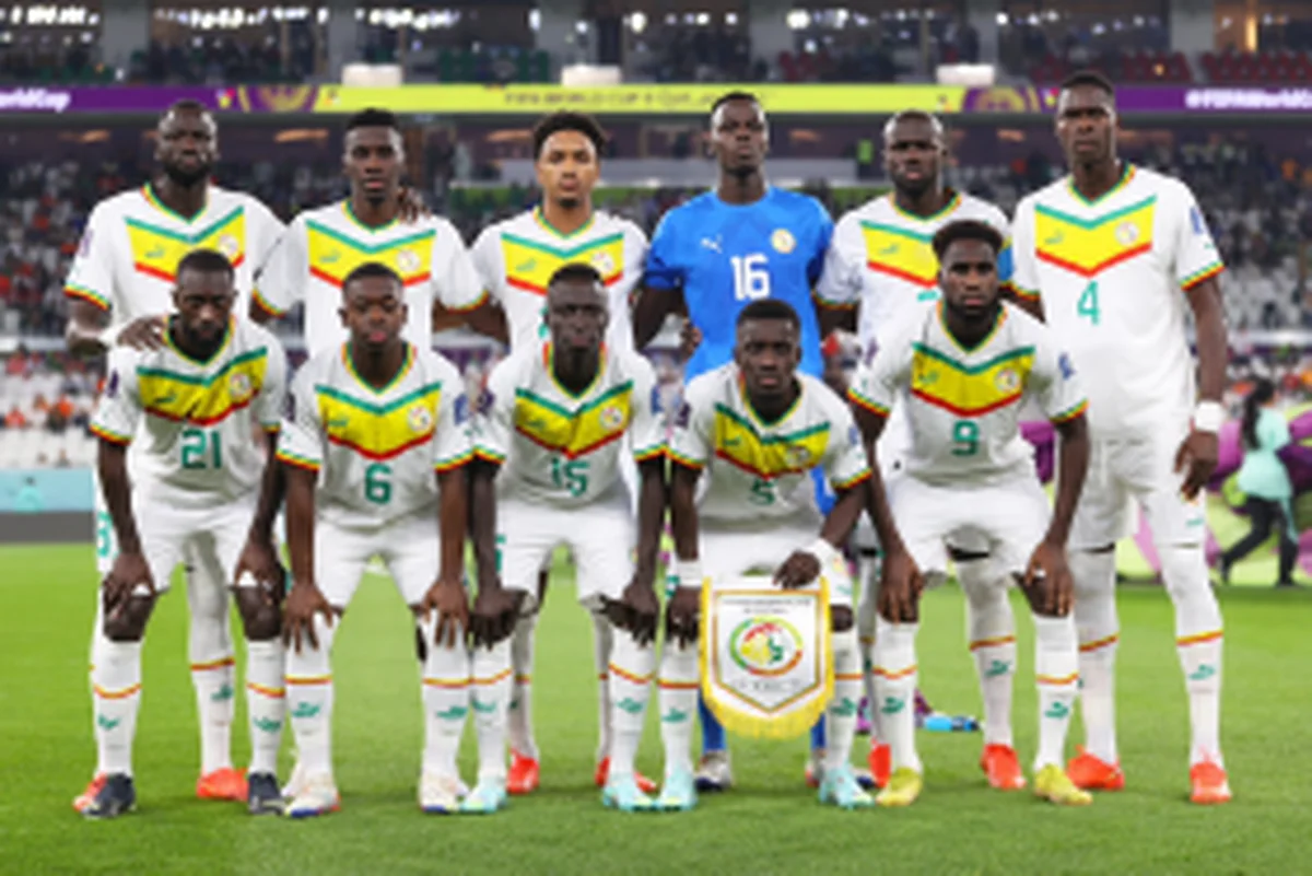 World Cup 2022 : Former Nigeria striker delivers his verdict after Senegal's loss to NetherlandsÂ 