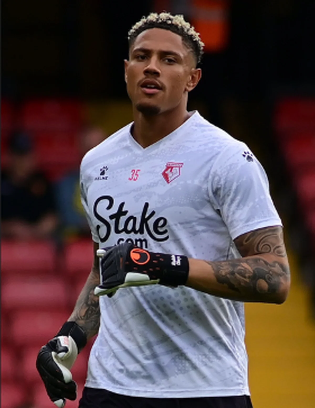 Official: Super Eagles goalkeeper joins Udinese on permanent transferÂ 