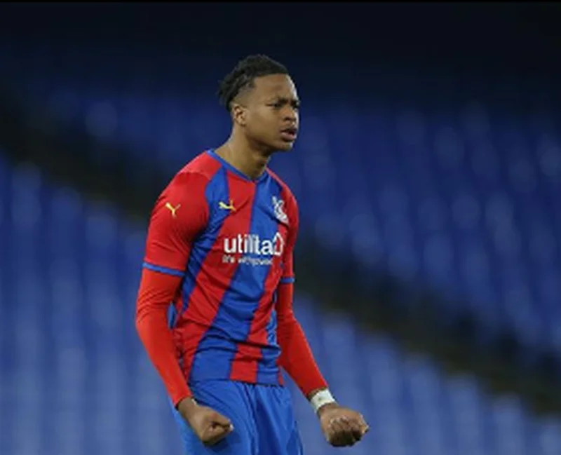 Nigeria-eligible strikers score three of Crystal Palace's five goals in win against Arsenal U18s