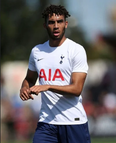 Cardiff City interested in signing Tottenham Hotspur's Nigerian striker 
