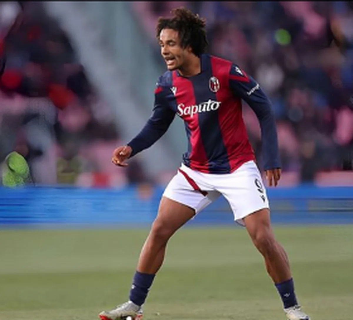 Zirkzee returns to full training at Bologna after injury ruled him out of Netherlands debutÂ 