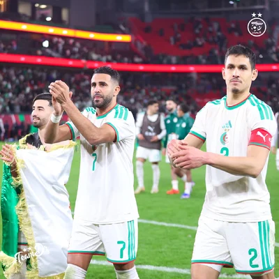 CAF sanctions Algeria for fan, player and official misconduct in Afcon clash against Nigeria