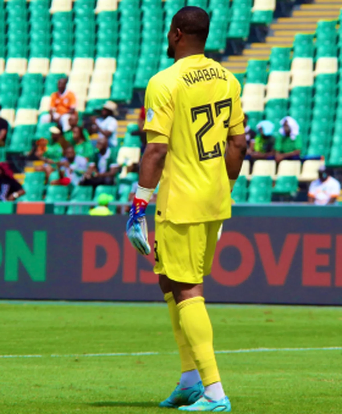 'Can't be judged by one match' â€“ Ex-Super Eagles defender warns Chelle not to bench Nwabali v RSA