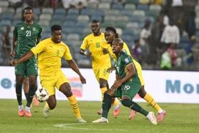 'After all the hard work' - South Africa-based ex-Super Eagles star sympathises with Bafana Bafana